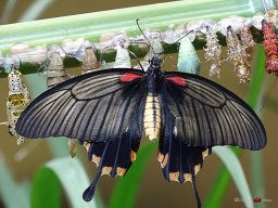 Tiergarten Schönbrunn am 23.03.2023